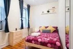 Spacious room in sunny house near campus