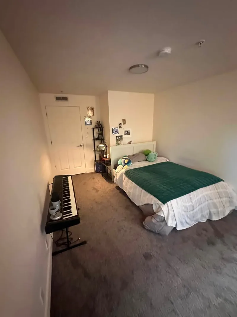 Spacious private room in sunny Paddington