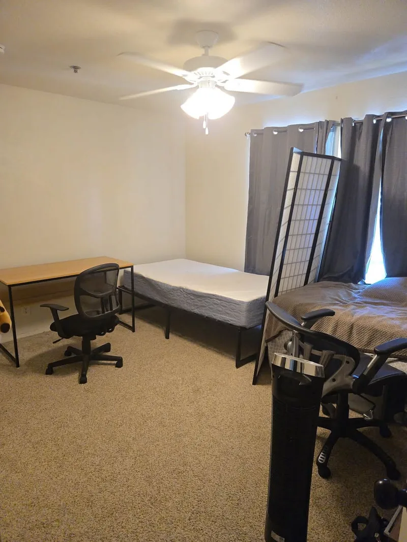 Cozy studio near UW campus, perfect for grad students