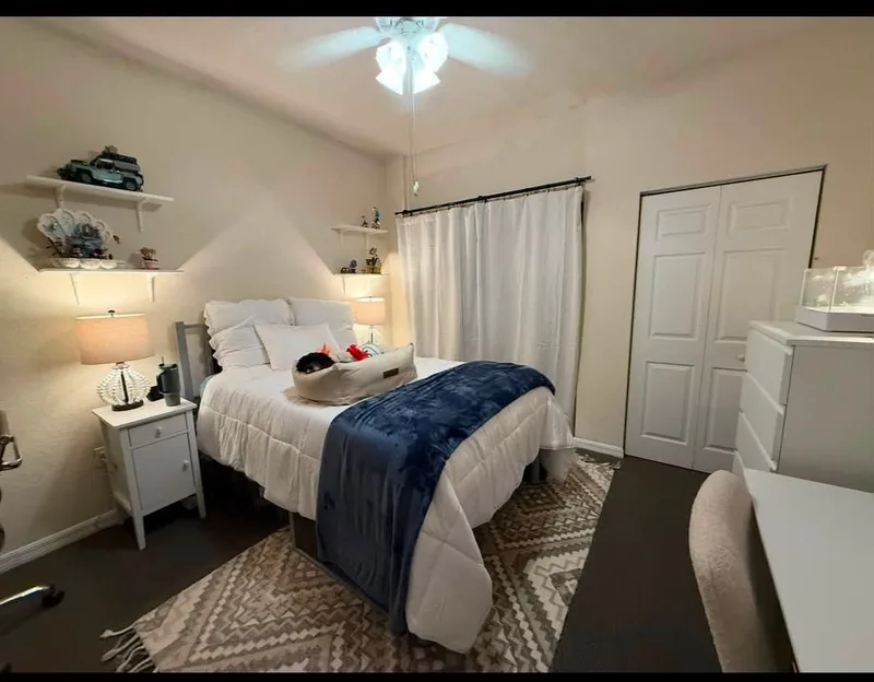 Room in Brookline near Harvard Law