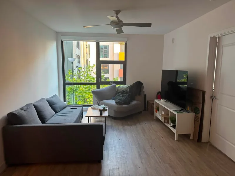 Cozy private room in Allston near BU/Northeastern