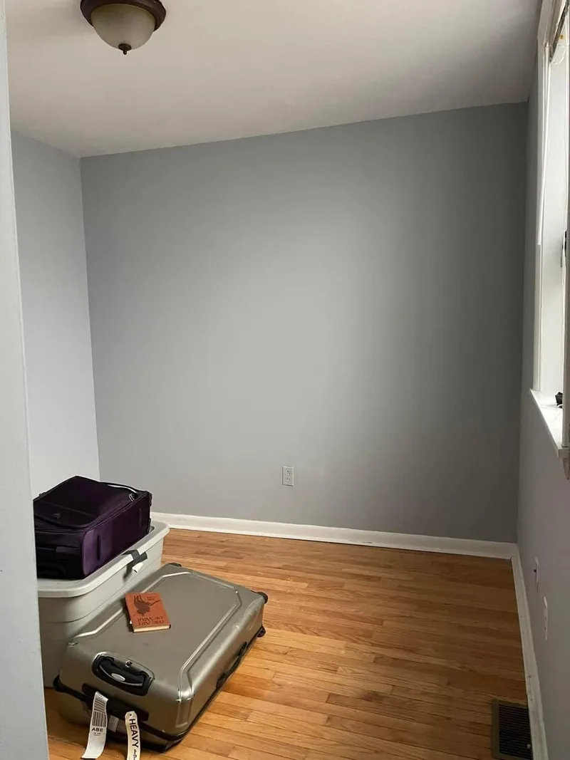 Spare room in Glebe near USyd
