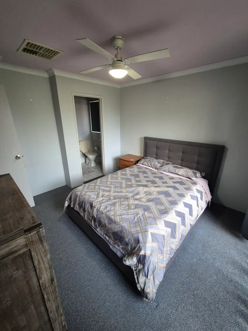 Spacious Fenway studio for grad students