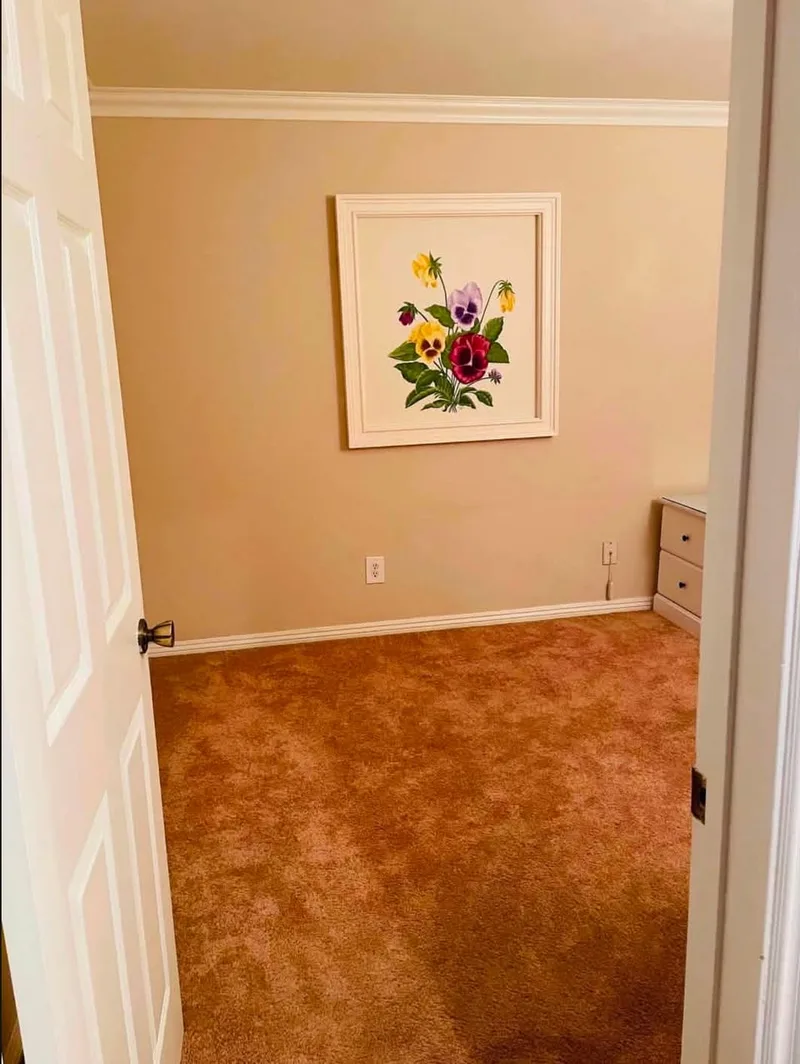 Modern Studio Apartment