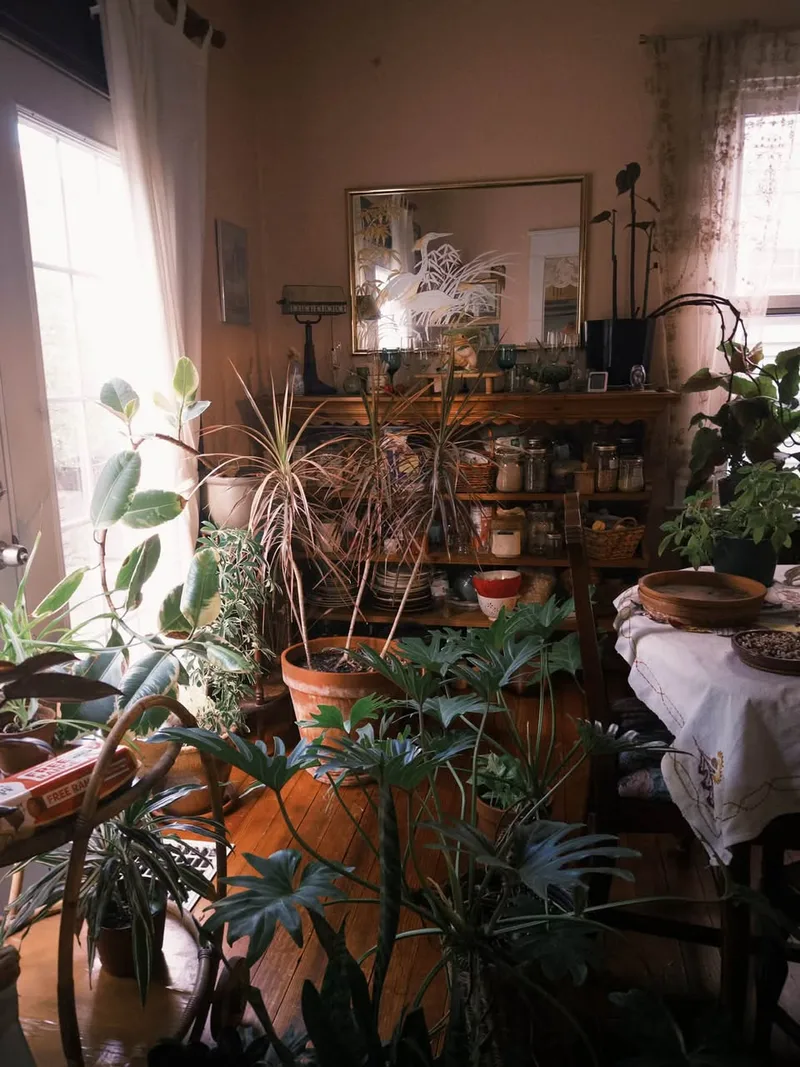 Cosy room in Newtown apartment