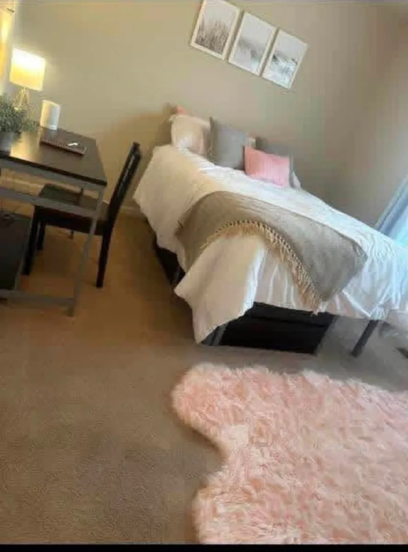 Need a roomie for my 3BR in downtown Amherst