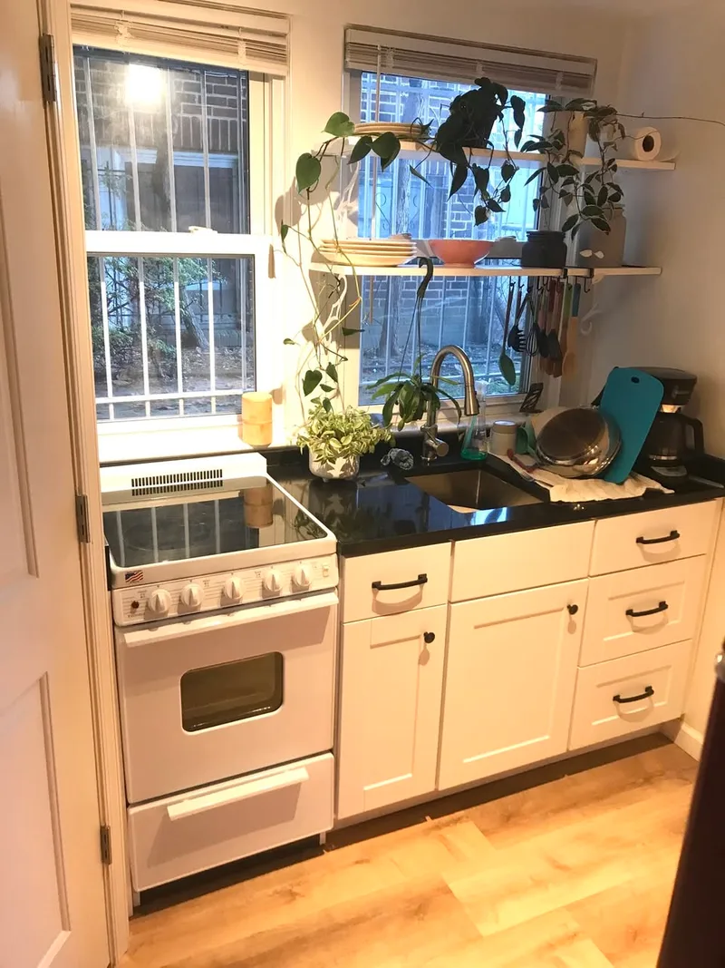 Need roommate for my 2BR near BU