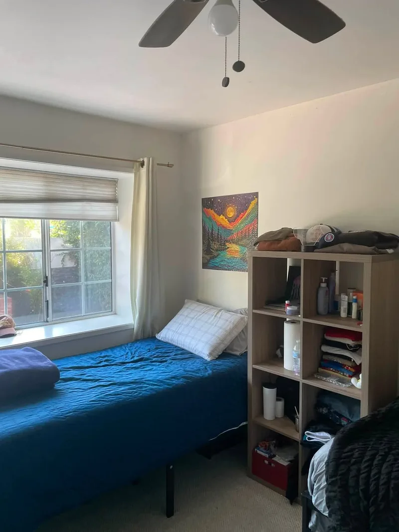 Modern room near UNSW