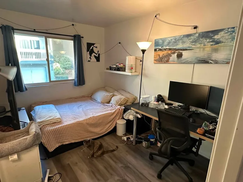 Private room in 2BR apartment near Harvard Square