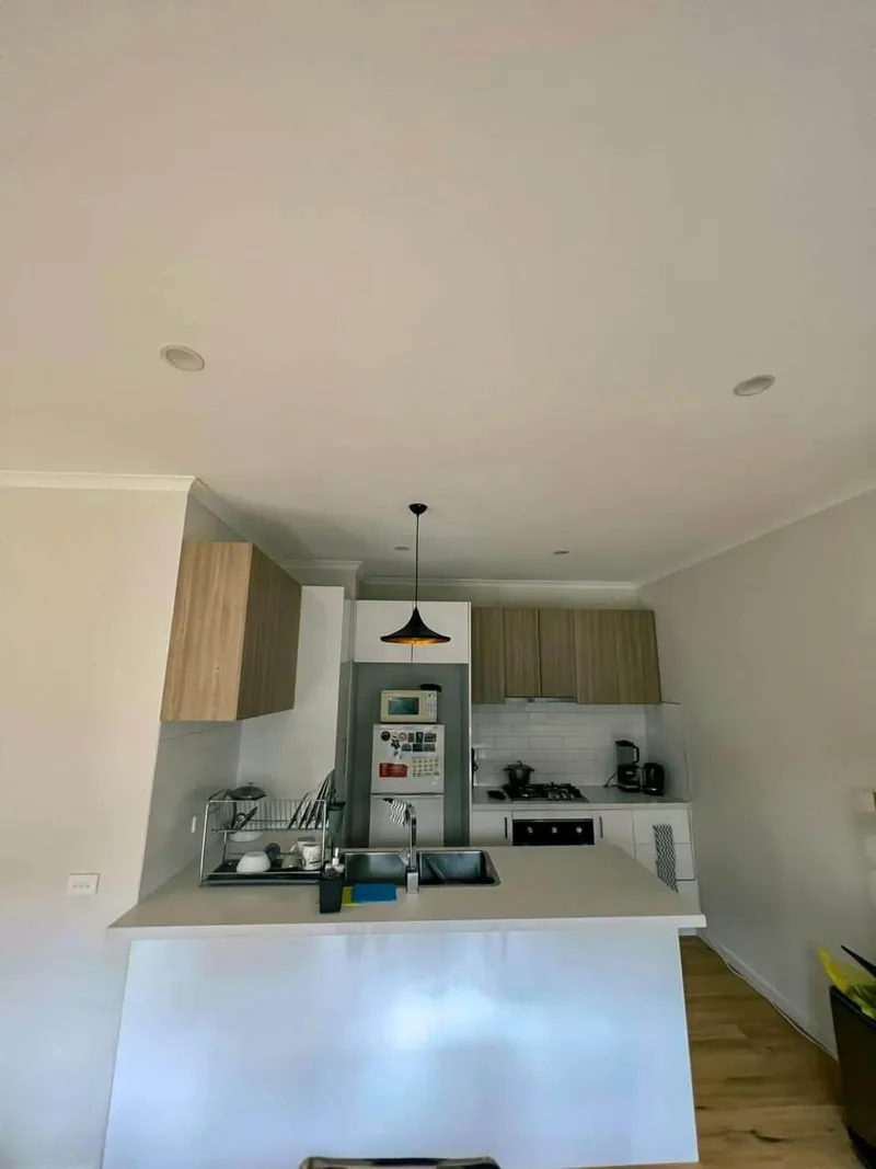 Single room in East Rock