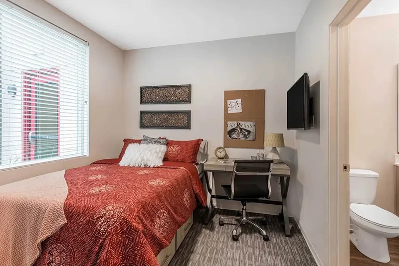 Private room in modern apartment near campus