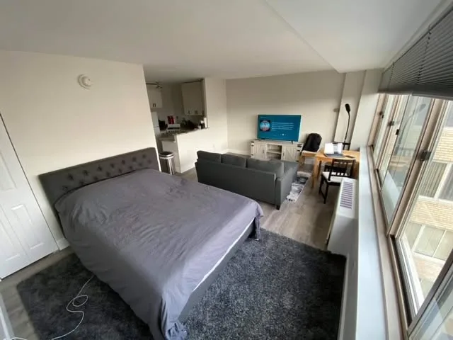 Sunny room in Bushwick apt
