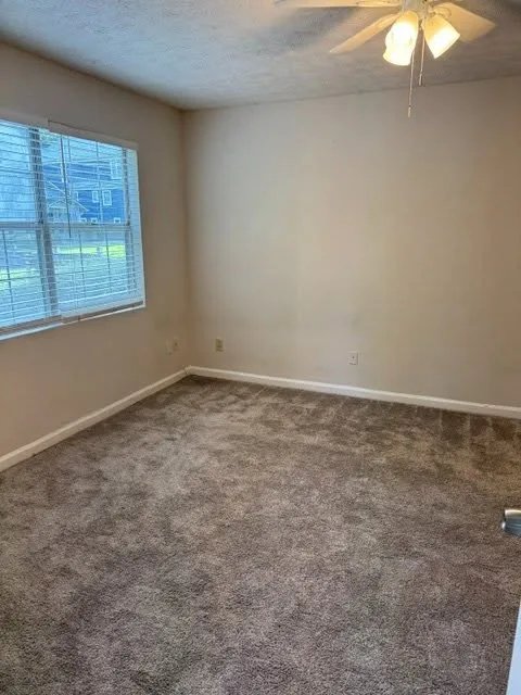 Spacious private room in downtown apartment