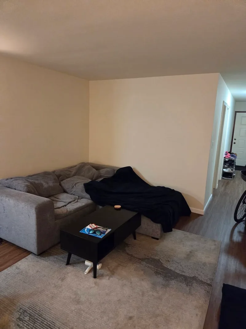 Modern room in shared house
