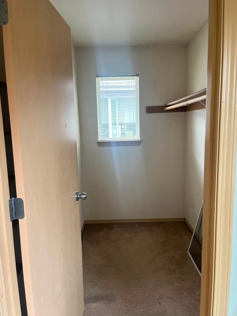 Charming room in Hamilton near uni