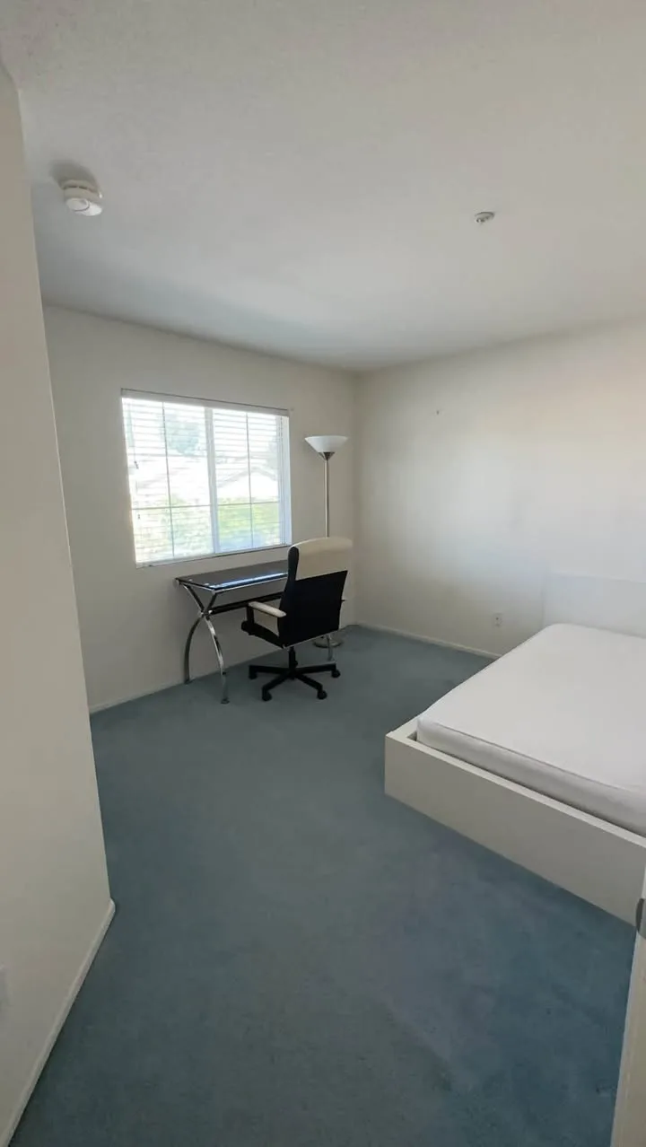 Private room in Hoboken, veg kitchen, 5 min to campus