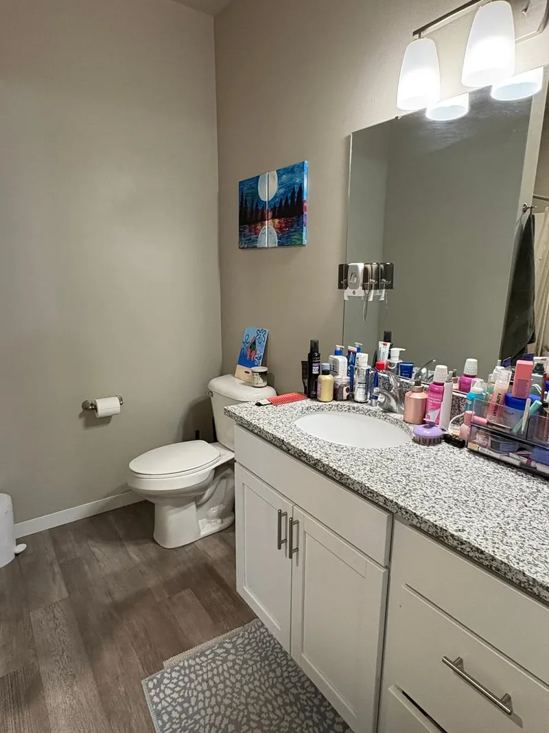 Room in student-friendly Kensington