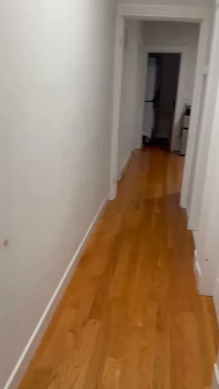 Spare room in Macquarie Park share house