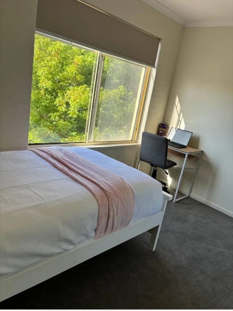 Cozy room in Champaign
