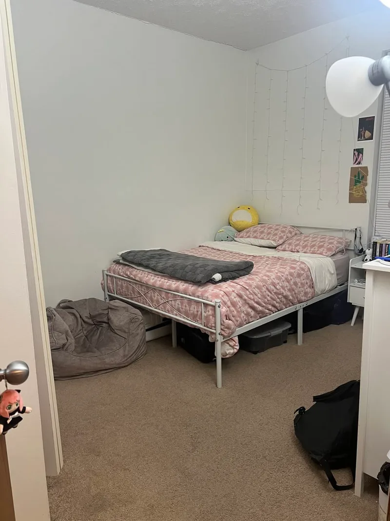 Private room in Pearl Street area